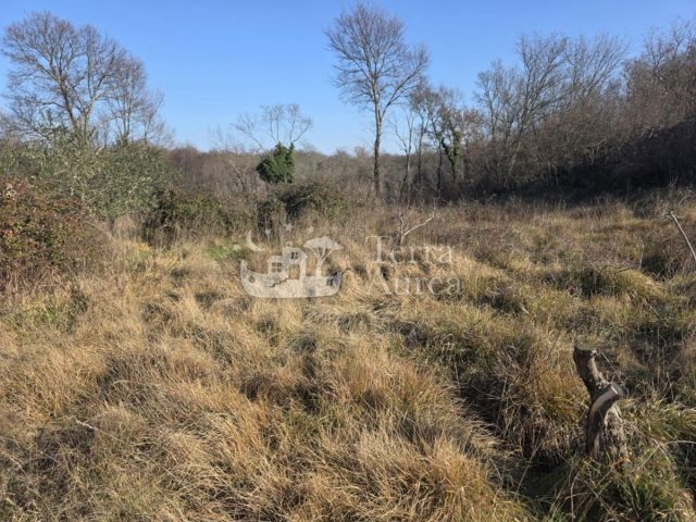 Land for sale 14800 m² – Krk