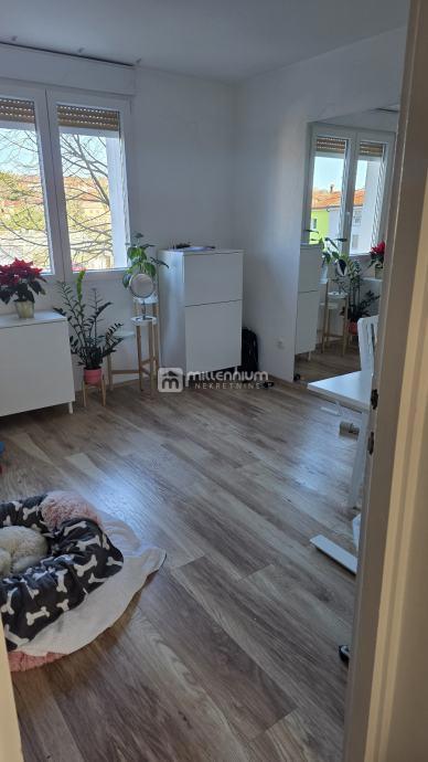 Flat For sale - PRIMORSKO-GORANSKA RIJEKA