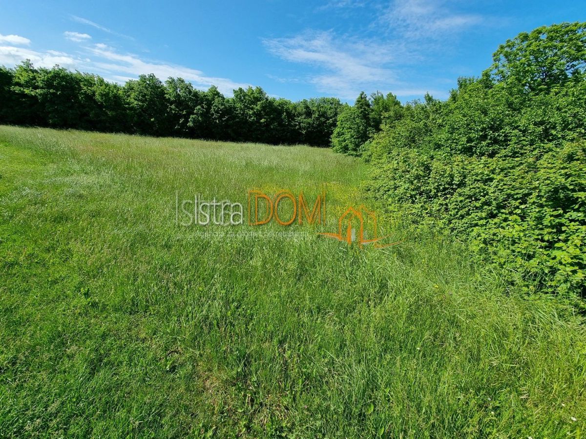 Terreno In vendita - Istarska Barban - foto 1/4