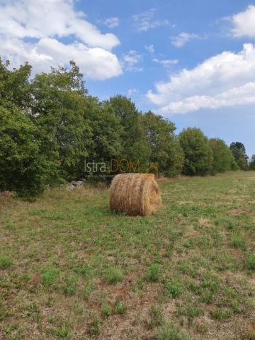 Grundstück zu verkaufen 9964 m² – Marčana