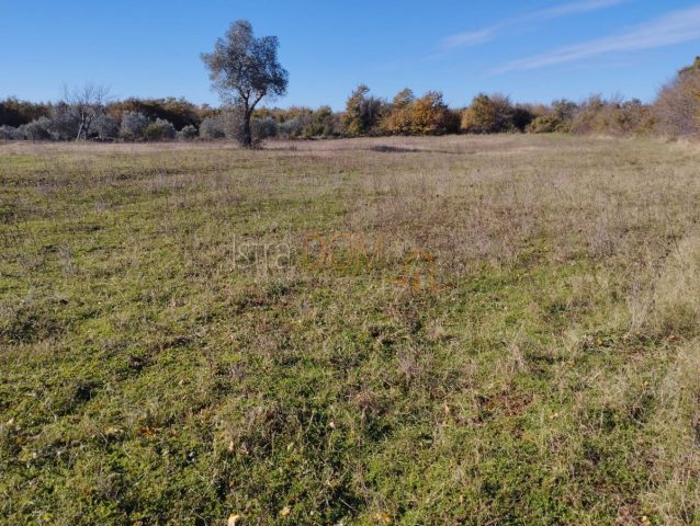 Land For sale - Istarska Svetvinčenat - foto 4/7