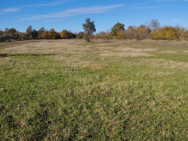Land For sale - Istarska Svetvinčenat - foto 5/7