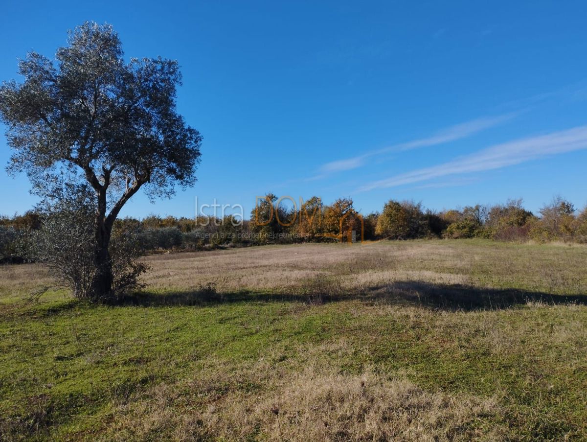 Parcela Na predaj - Istarska Svetvinčenat - foto 1/7