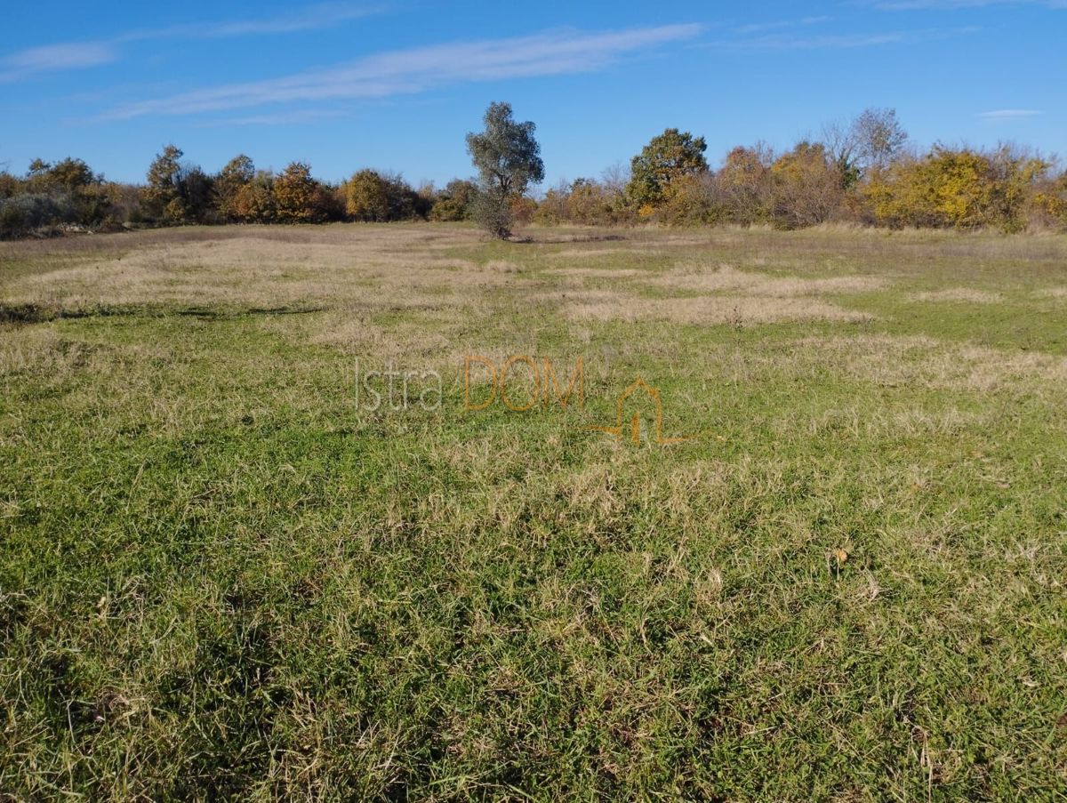 Parcela Na predaj - Istarska Svetvinčenat - foto 5/7