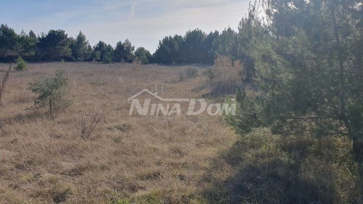 Terrain À vendre - Zadarska Vir - foto 4/9