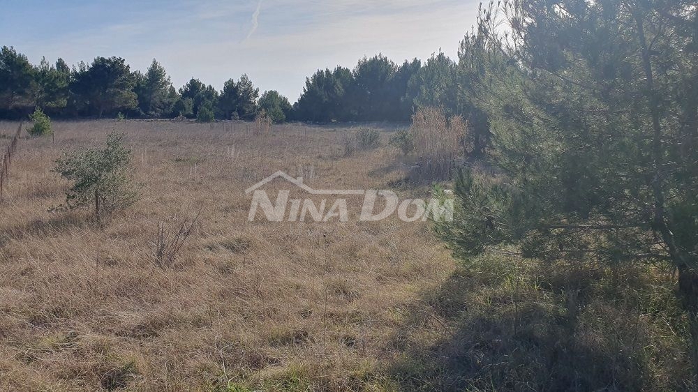 Land For sale - Zadarska Vir - foto 4/9