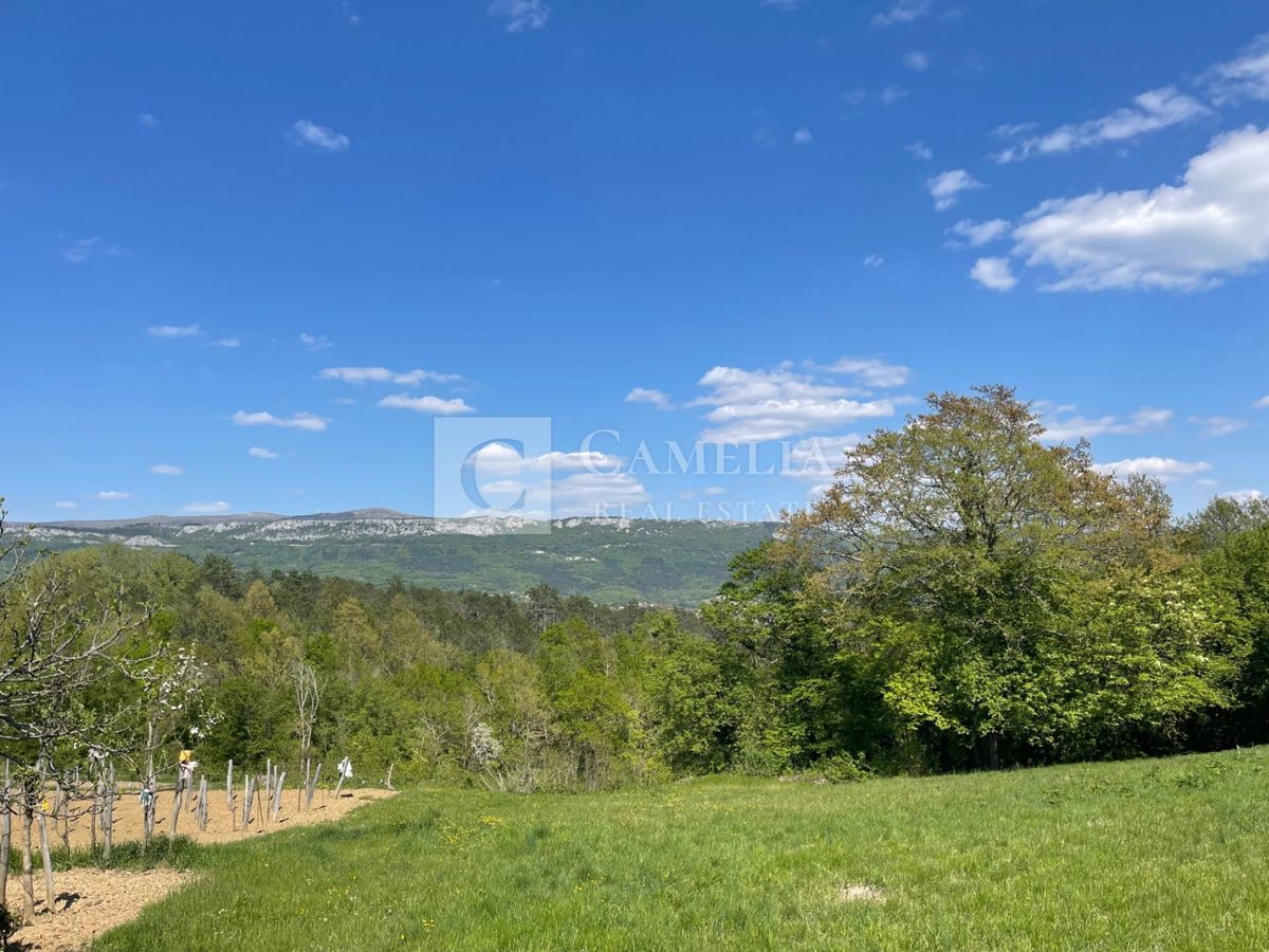 Terreno In vendita - ISTARSKA BUZET