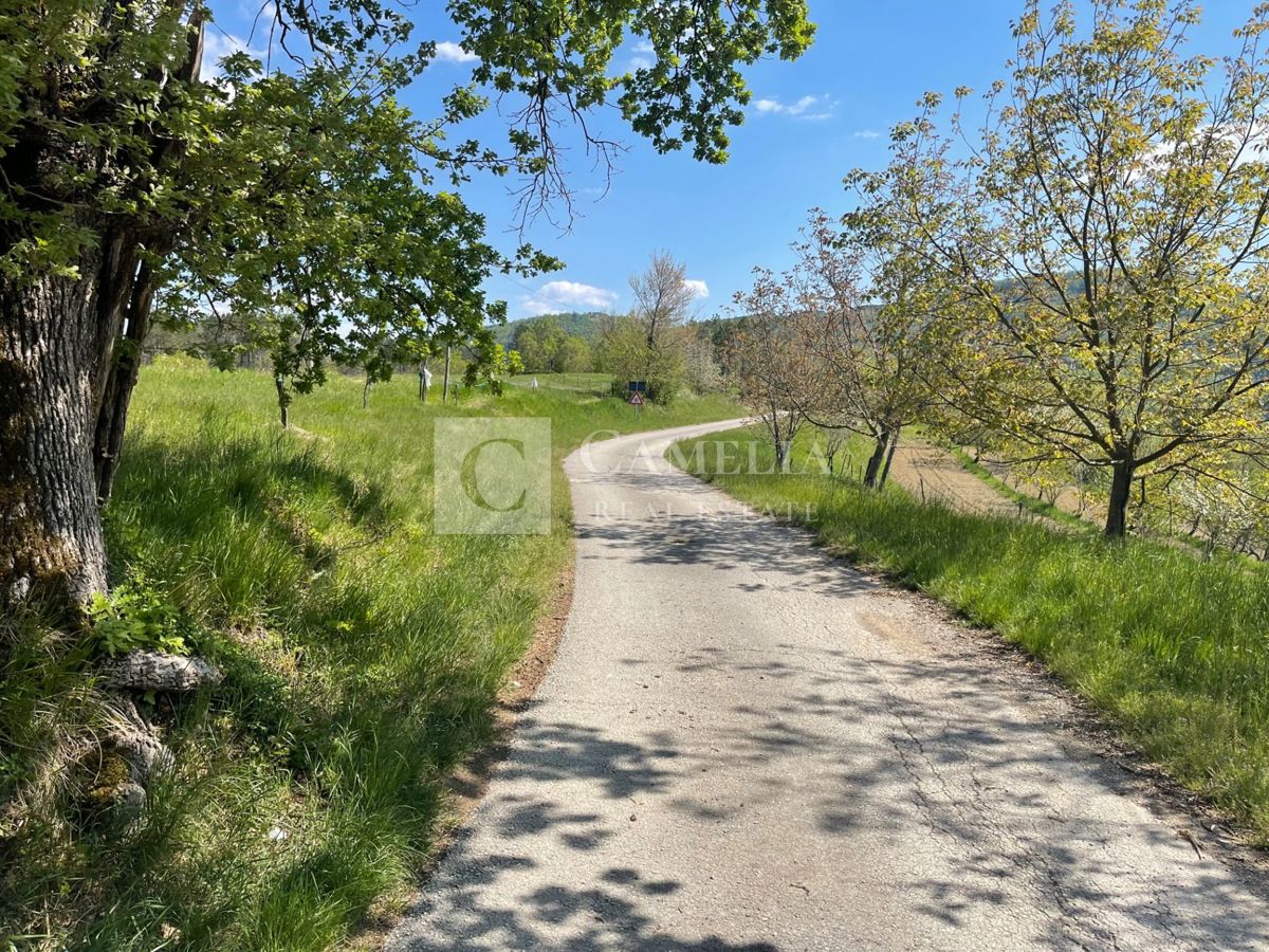 Terreno In vendita - ISTARSKA BUZET