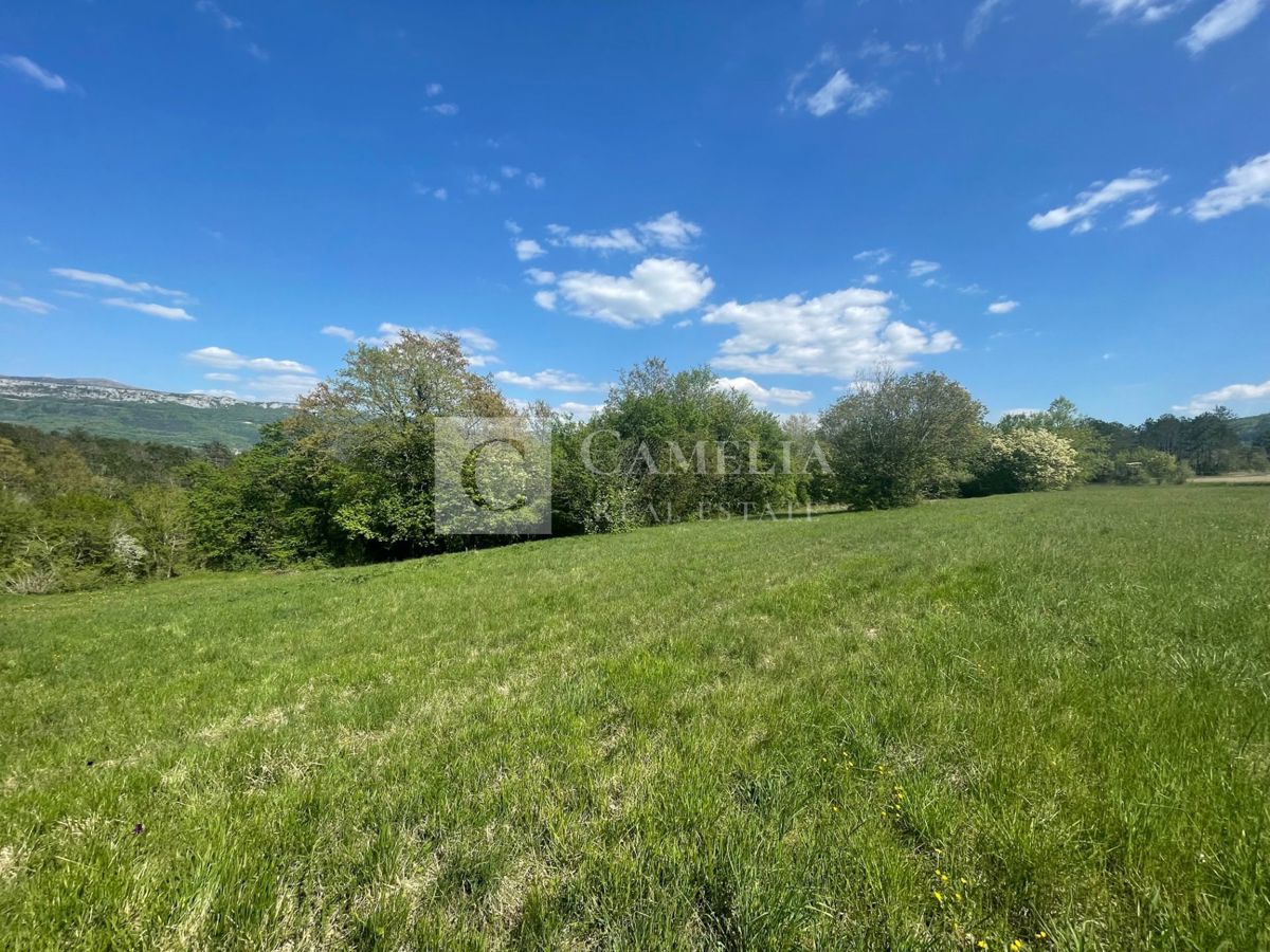 Terreno In vendita - ISTARSKA BUZET