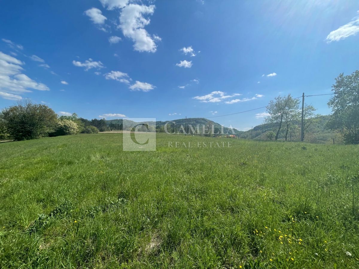 Terreno In vendita - ISTARSKA BUZET