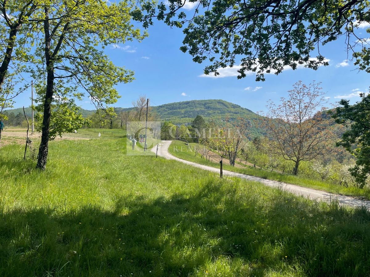 Terreno In vendita - ISTARSKA BUZET