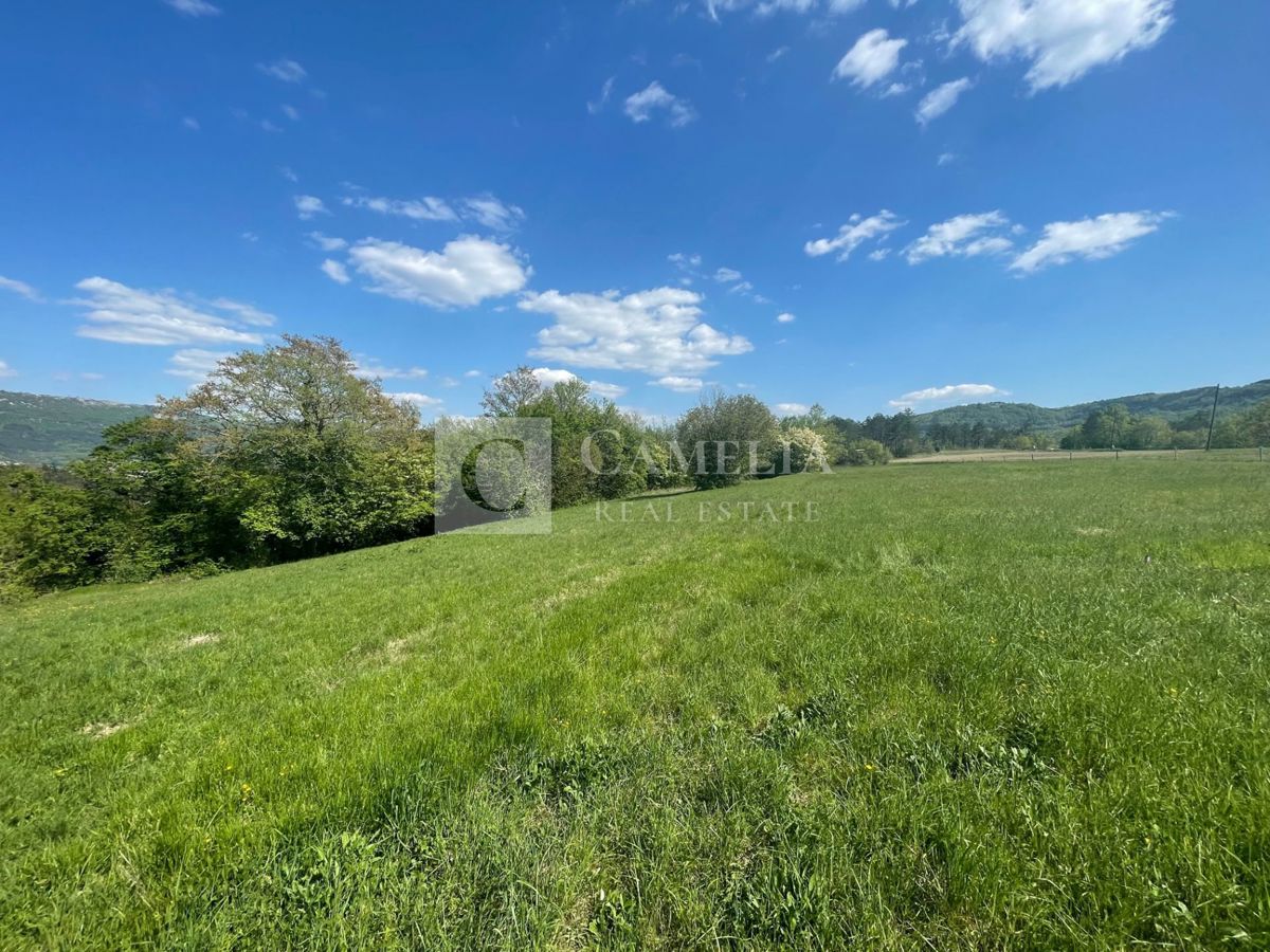 Terreno In vendita - ISTARSKA BUZET