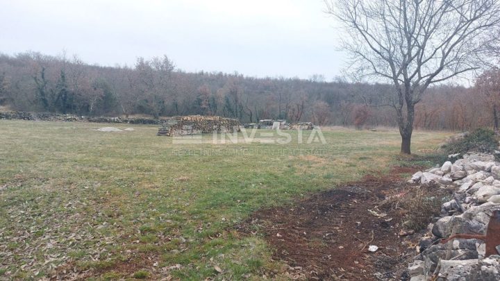 Parcela Na predaj - Istarska Tinjan - foto 4/5