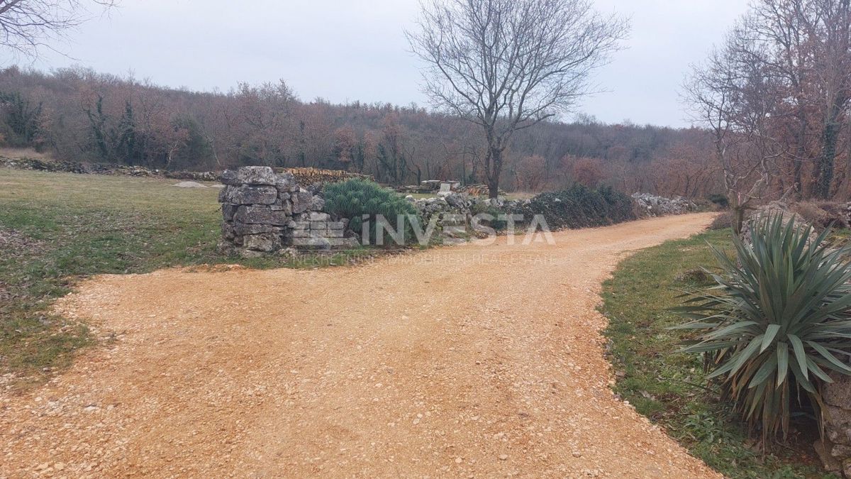Parcela Na predaj - Istarska Tinjan - foto 3/5