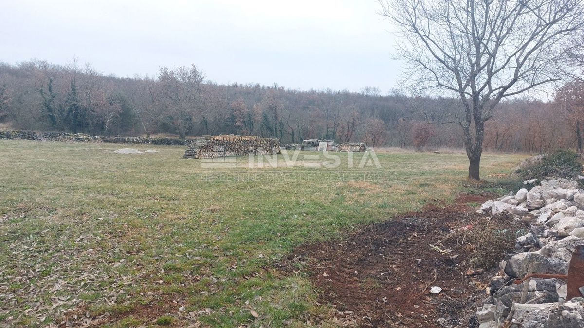 Parcela Na predaj - Istarska Tinjan - foto 4/5