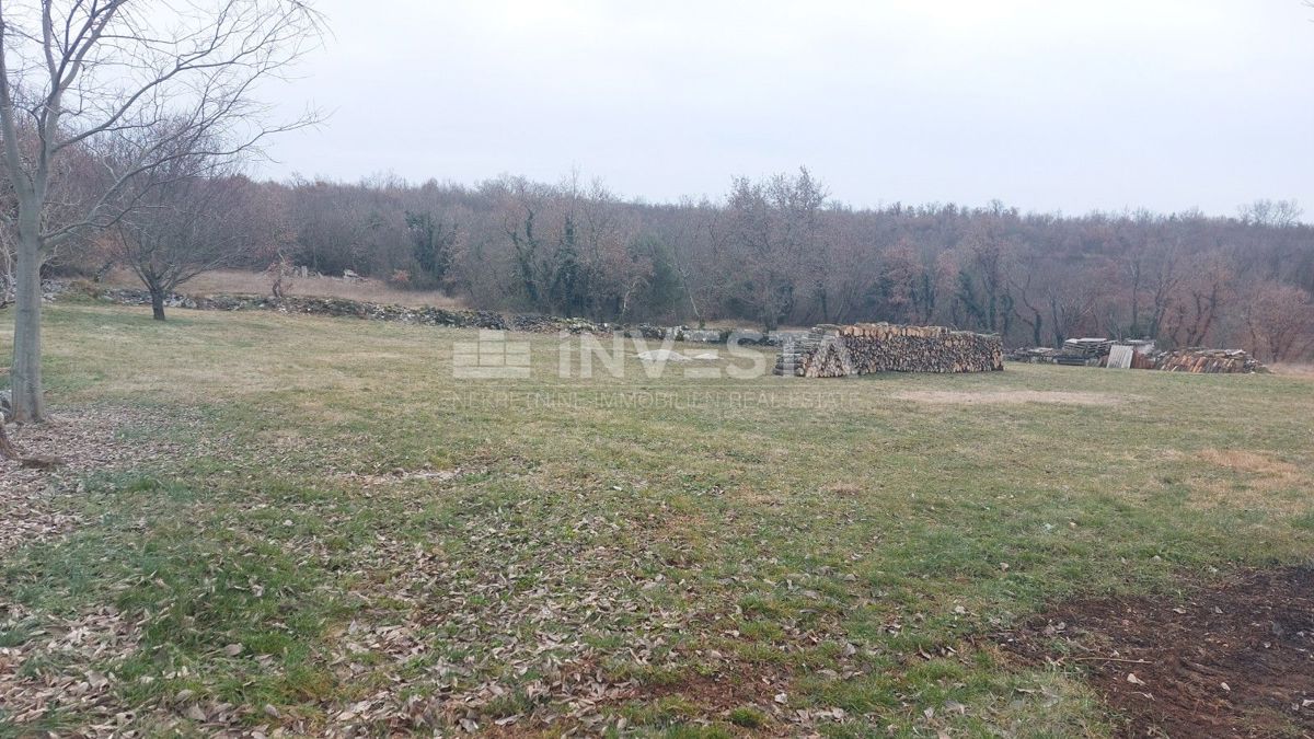 Parcela Na predaj - Istarska Tinjan - foto 5/5