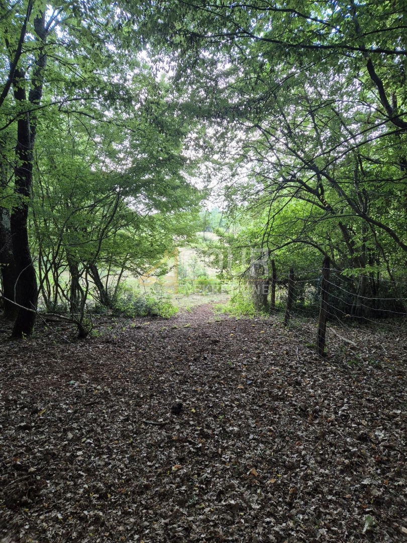 Land For sale - Istarska Kaštelir - foto 1/7