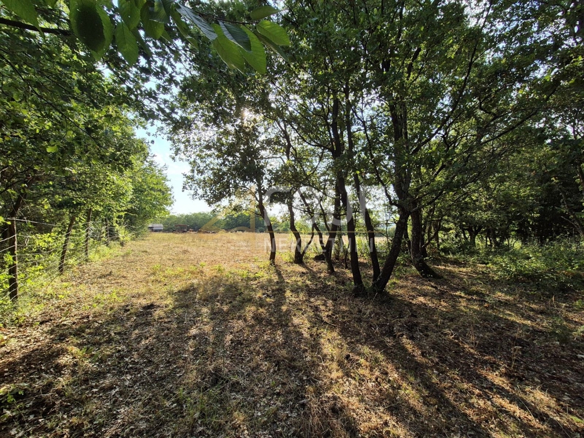 Land For sale - Istarska Kaštelir - foto 2/7