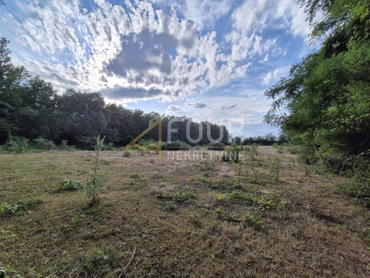 Land For sale - Istarska Kaštelir - foto 3/7