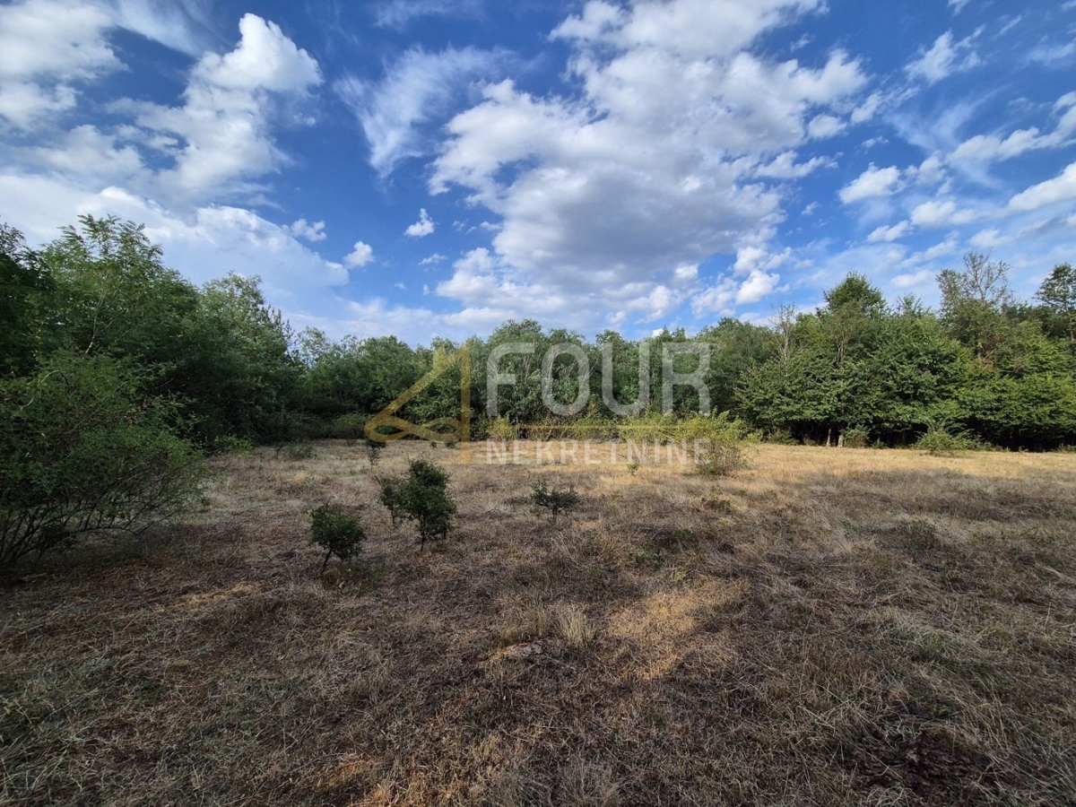 Land For sale - Istarska Kaštelir - foto 4/7