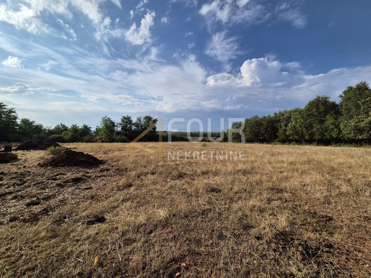 Land For sale - Istarska Kaštelir - foto 5/7