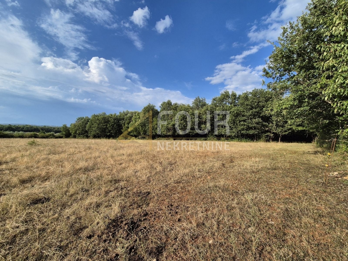 Land For sale - ISTARSKA KAŠTELIR
