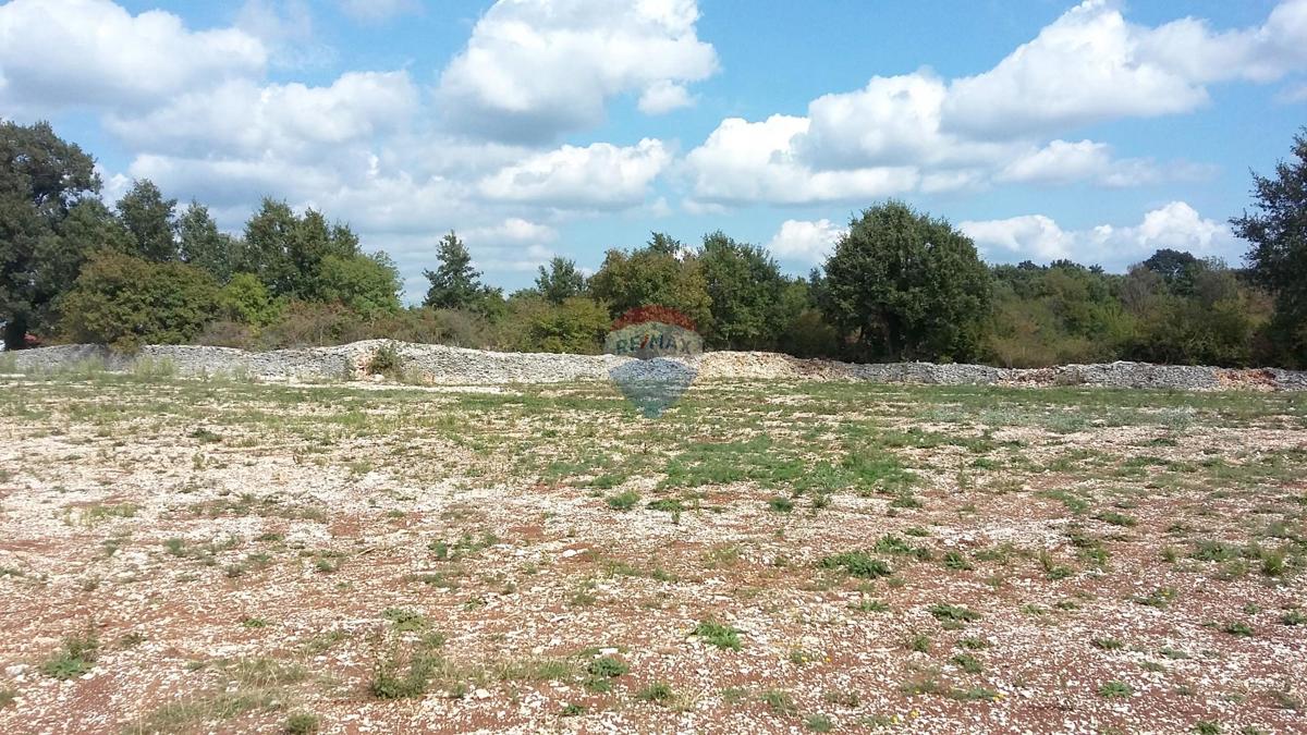 Parcela Na predaj - Istarska Kanfanar - foto 3/4