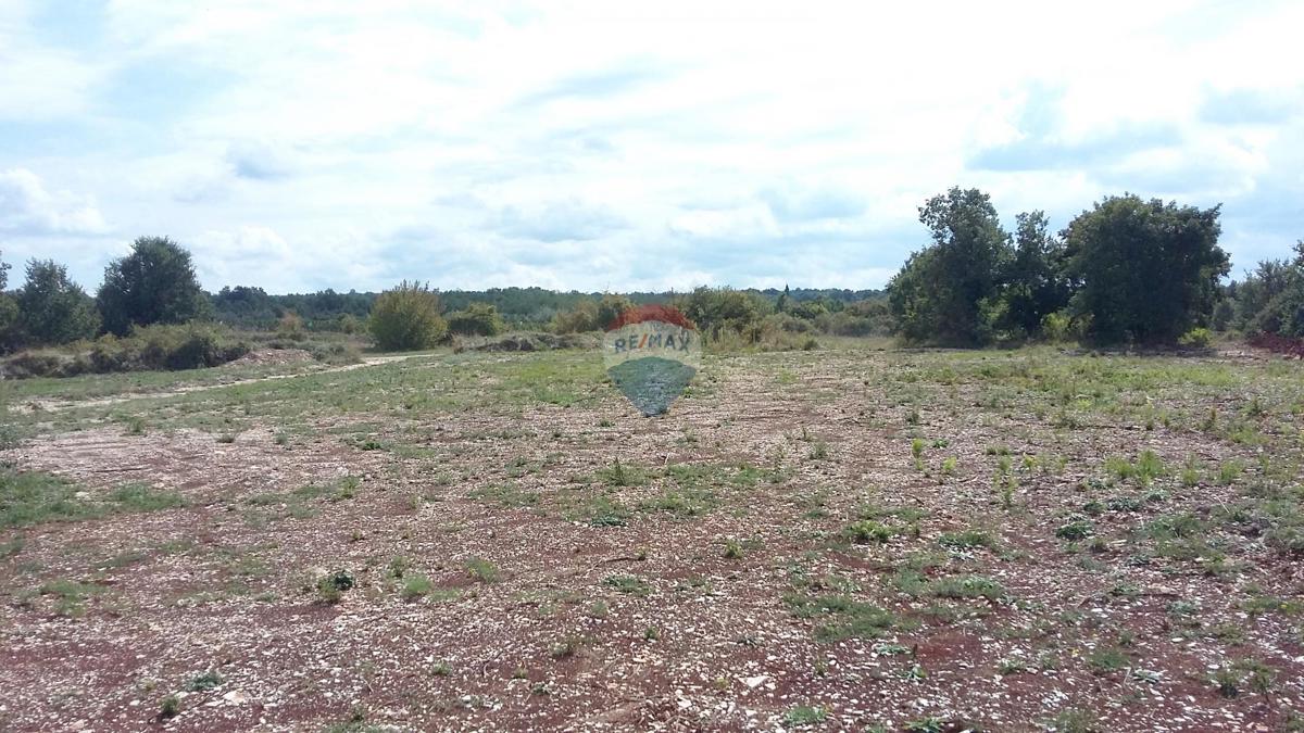 Parcela Na predaj - Istarska Kanfanar - foto 4/4