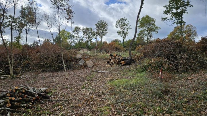 Land for sale 3445 m² – Barban