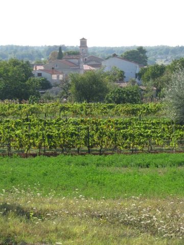 Land For sale - Istarska Barban - foto 3/9