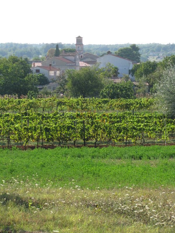 Land For sale - Istarska Barban - foto 3/9