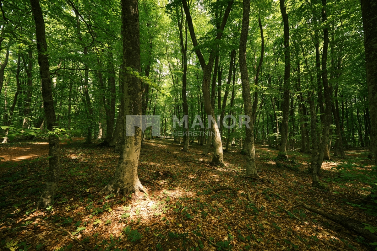 Land For sale - Istarska Labin - foto 1/2