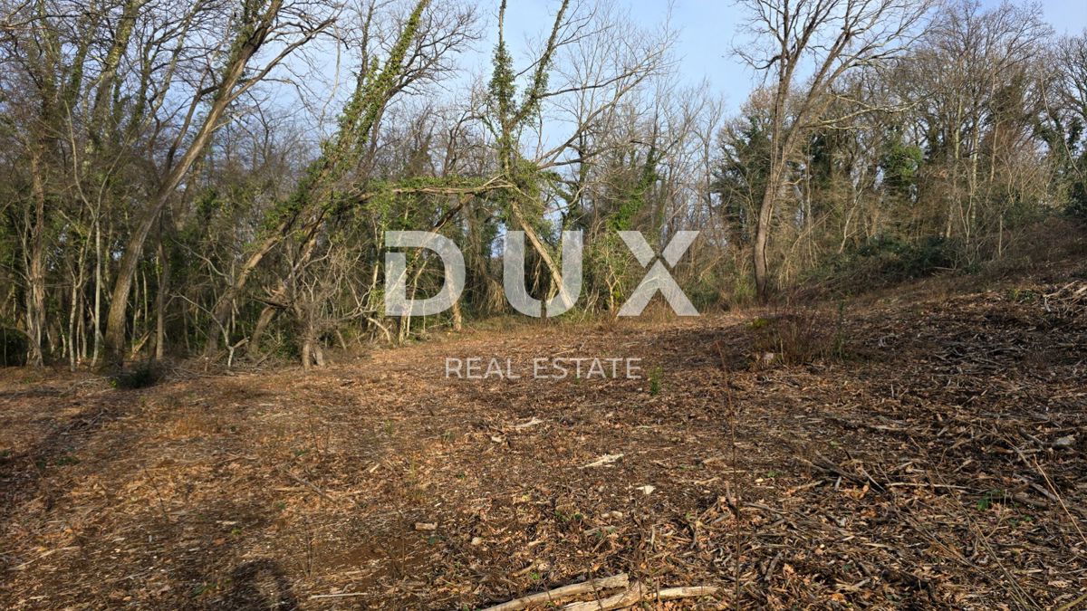 Haus Zu verkaufen - ISTARSKA LABIN