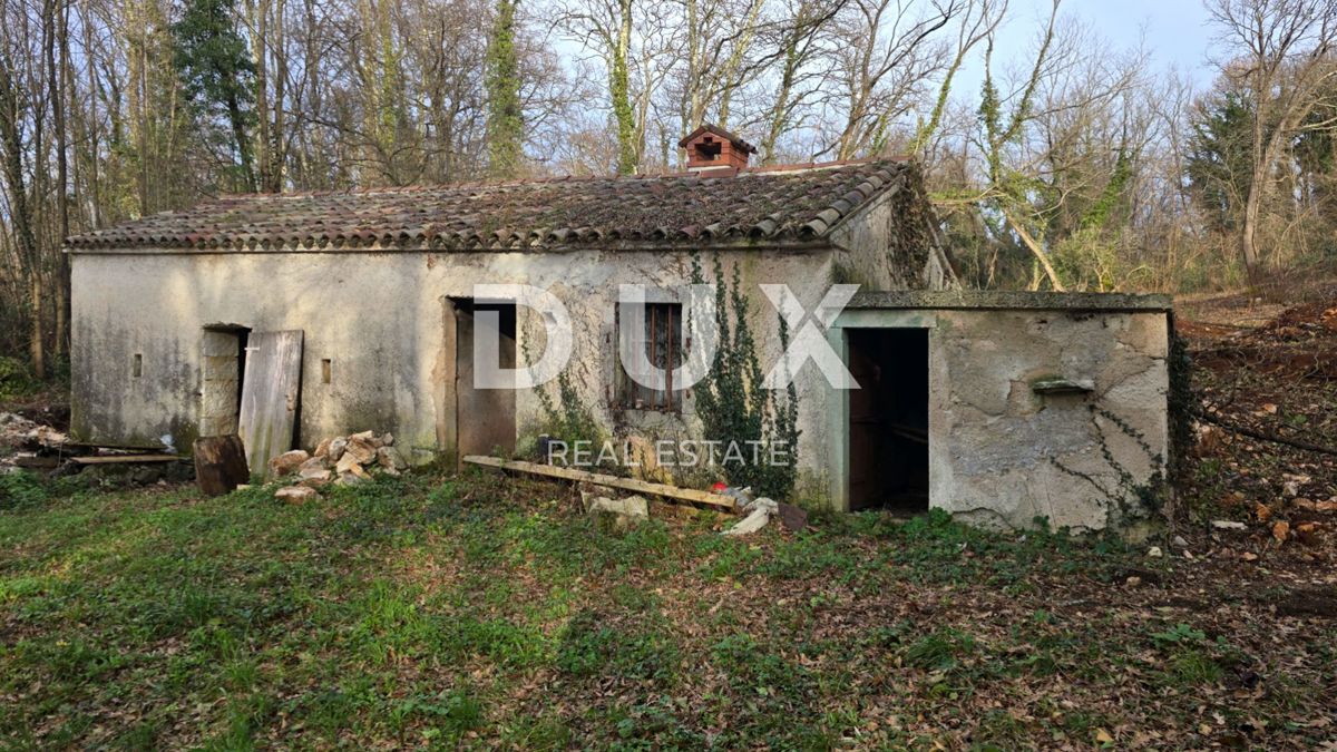 Haus Zu verkaufen - ISTARSKA LABIN