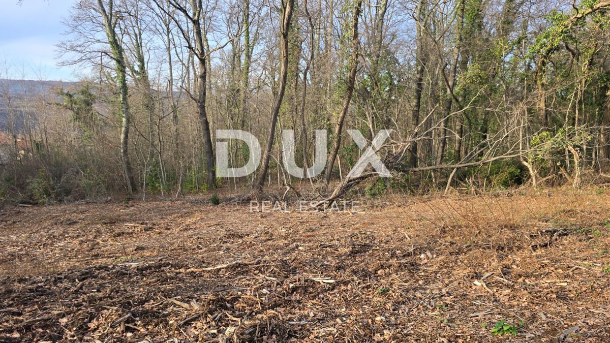 Haus Zu verkaufen - ISTARSKA LABIN