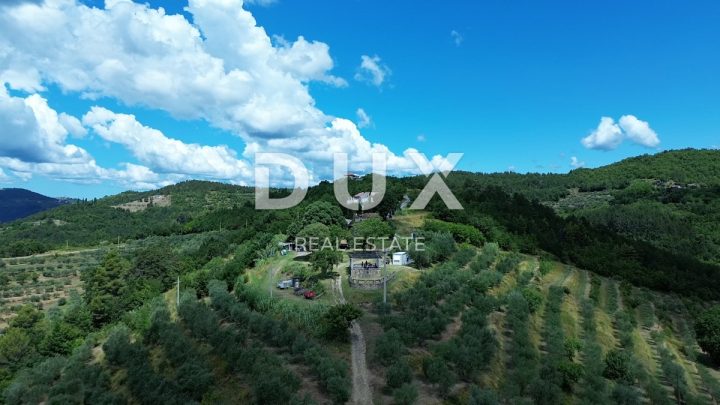 Pozemok na predaj 167943 m² – Motovun