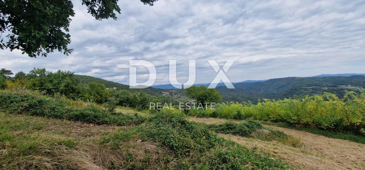 Terrain À vendre - ISTARSKA MOTOVUN
