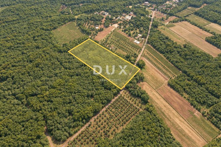 Grundstück zu verkaufen 4834 m² – Marčana