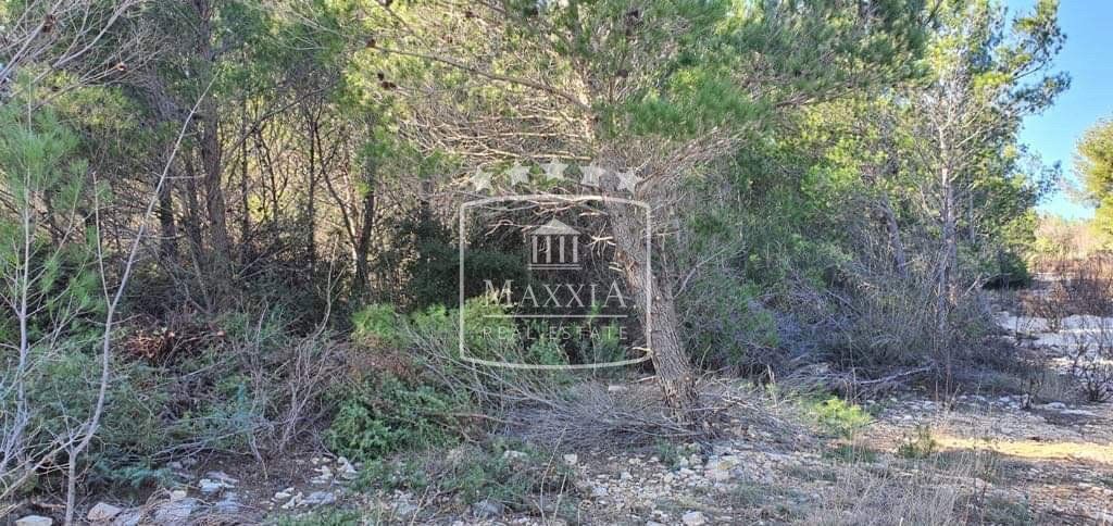 Land For sale - Zadarska Novigrad - foto 3/4