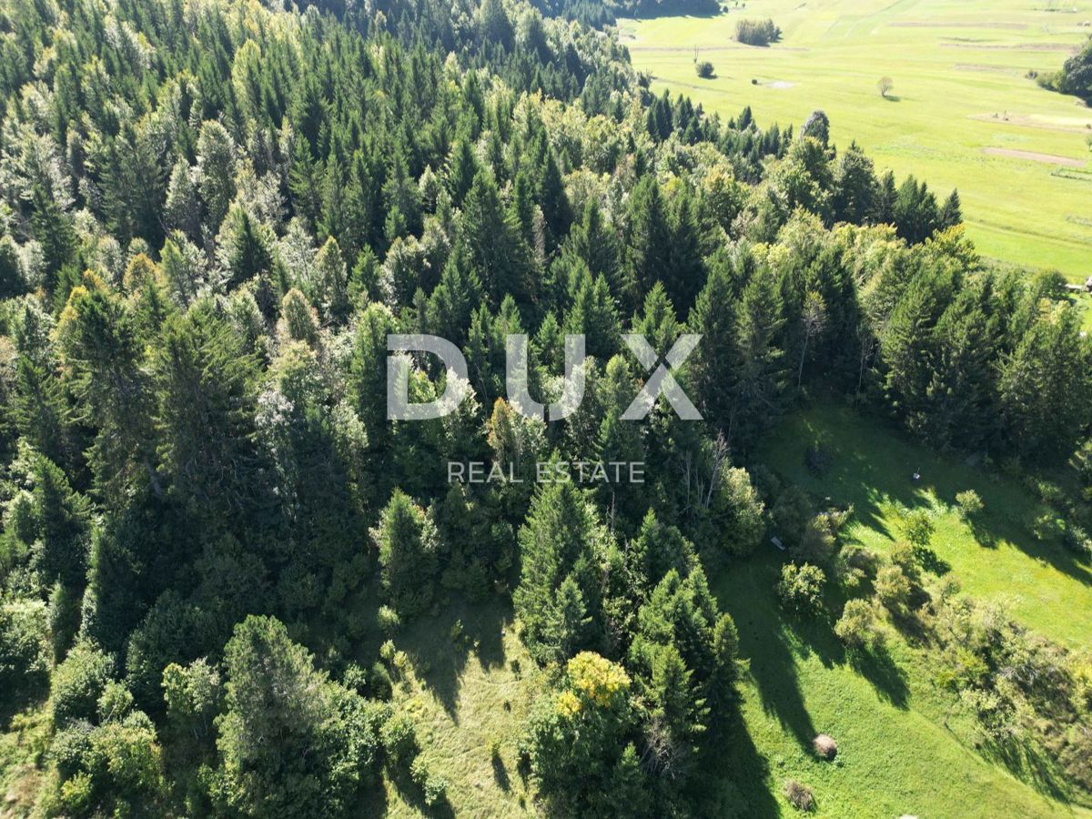 Land For sale - PRIMORSKO-GORANSKA MRKOPALJ