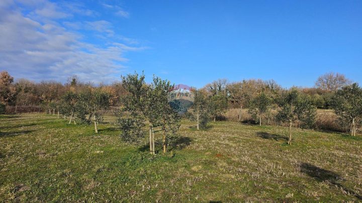 Land for sale 1327 m² – Umag