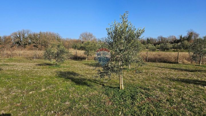 Terreno In vendita - Istarska Umag - foto 2/9