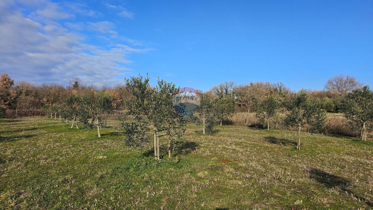 Pozemek Na prodej - Istarska Umag - foto 1/9