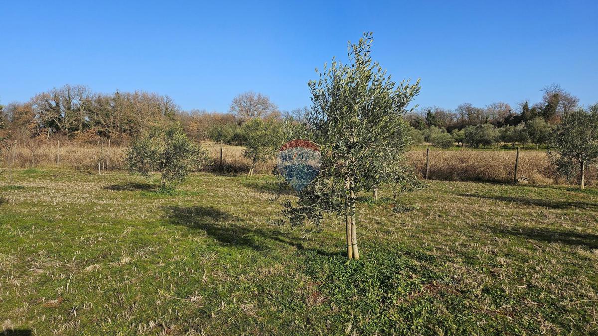 Pozemek Na prodej - Istarska Umag - foto 2/9