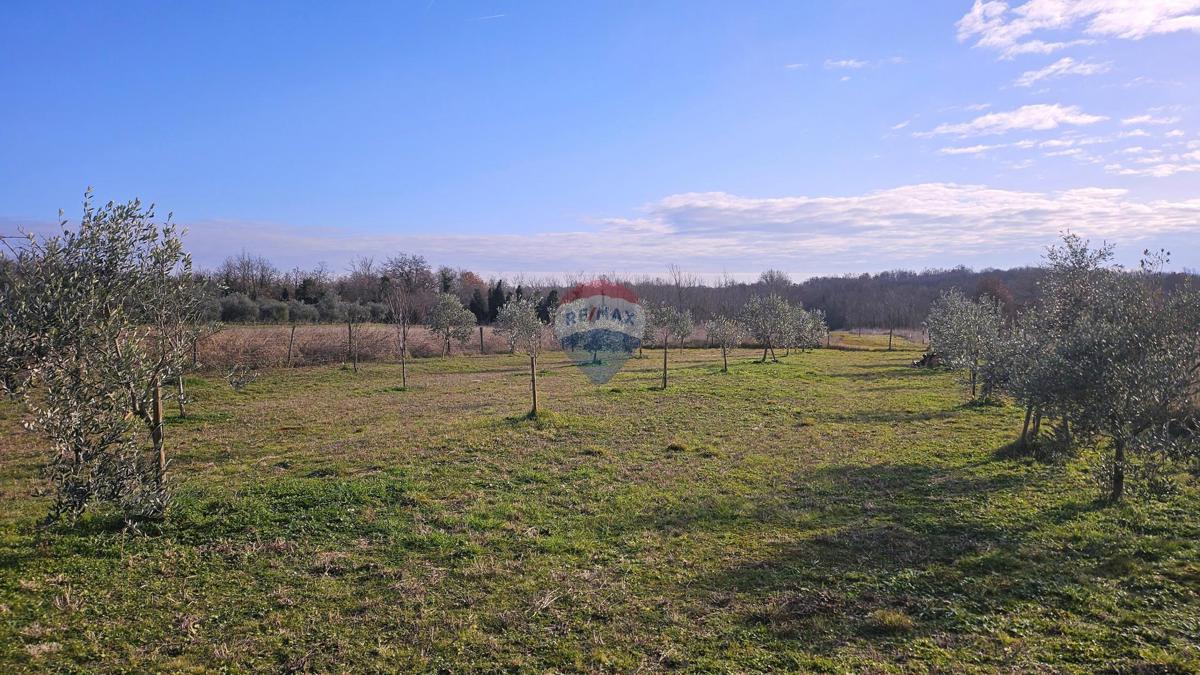 Pozemek Na prodej - Istarska Umag - foto 3/9