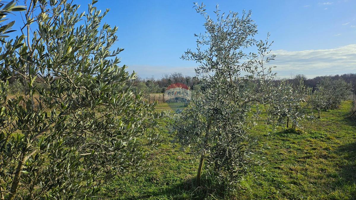 Pozemek Na prodej - Istarska Umag - foto 4/9