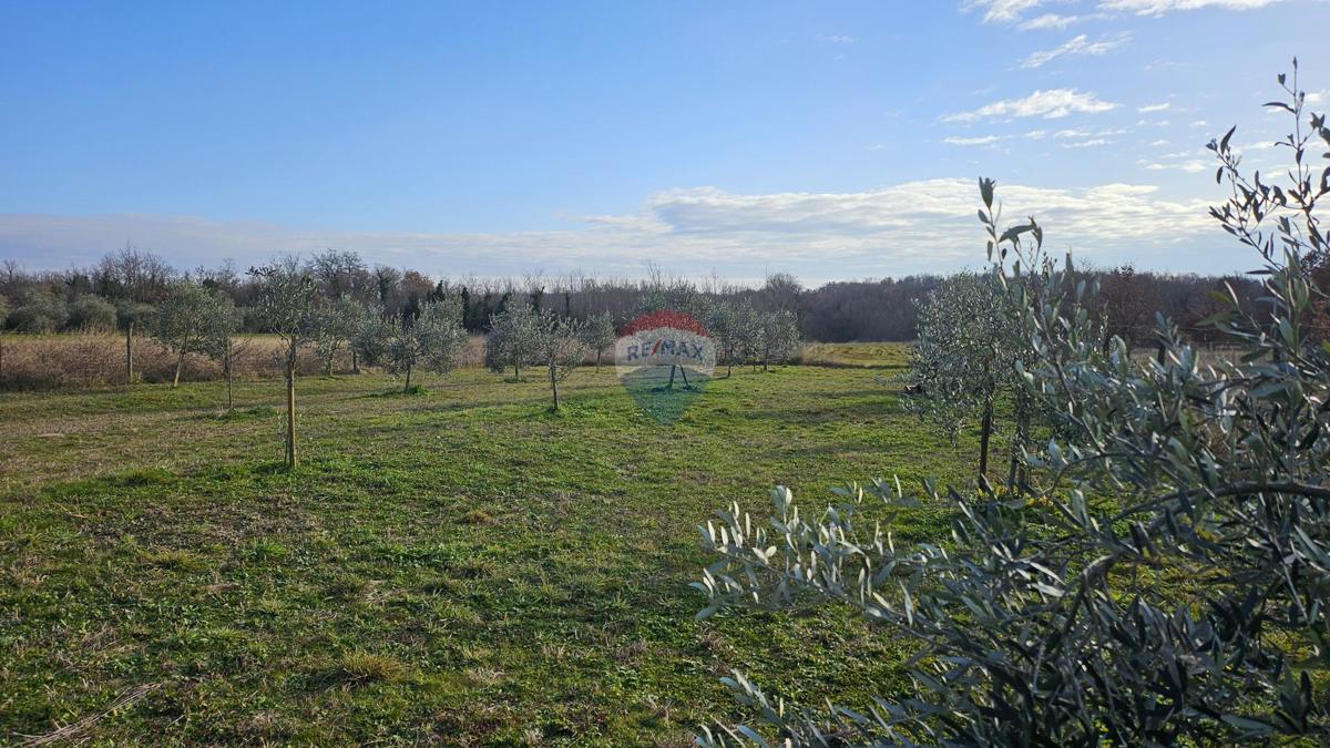 Pozemek Na prodej - ISTARSKA UMAG