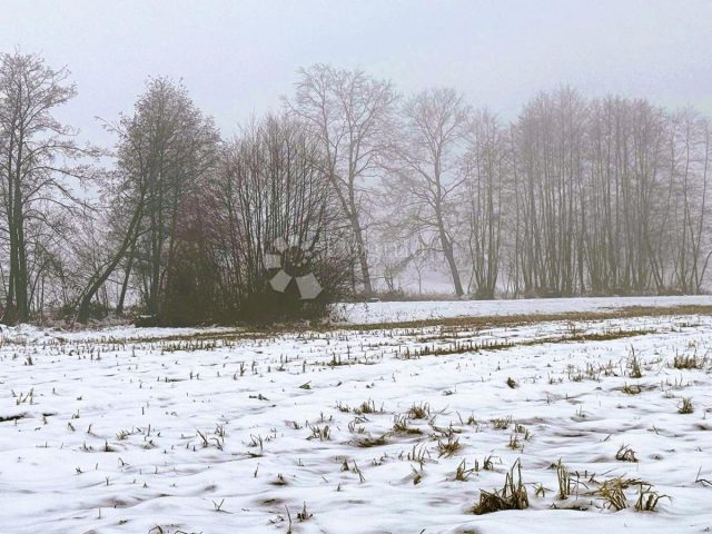 Parcela na predaj 1491 m² – Belica