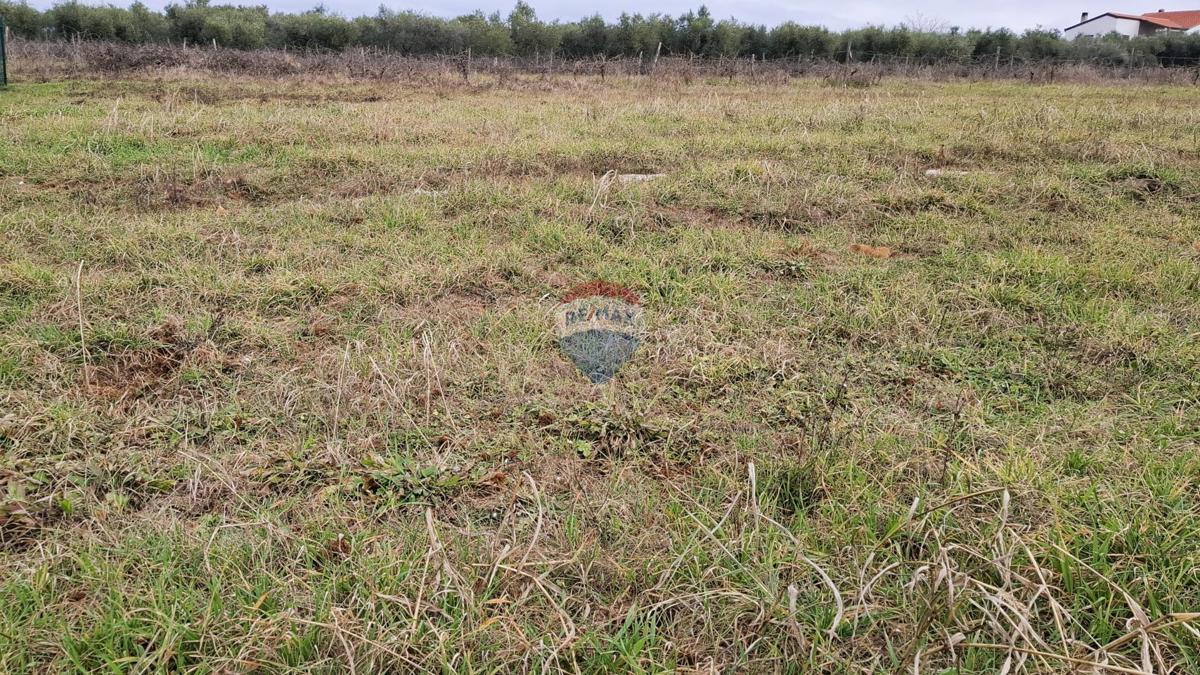 Land For sale - Istarska Novigrad - foto 4/4