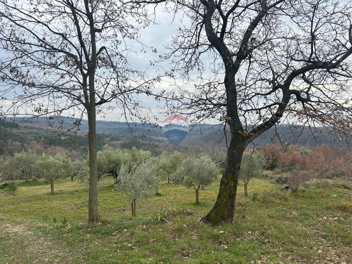 Zemljište Na prodaju - Istarska Buje - foto 1/3